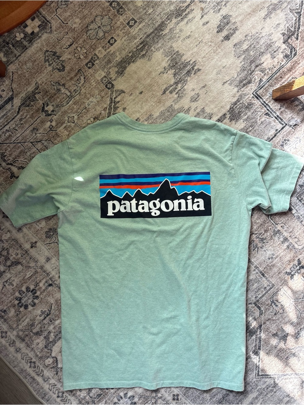 PATAGONIA MEN'S P-6 LOGO RESPONSIBILI-TEE / WISPY GREEN size S